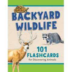 Backyard Wildlife: 101 Flashcards For Discovering Animals - Book - Paracay