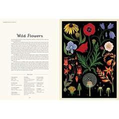 Botanicum: Welcome To The Museum - Book - Paracay