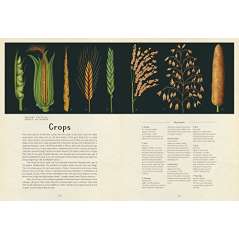 Botanicum: Welcome To The Museum - Book - Paracay