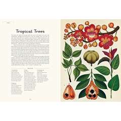 Botanicum: Welcome To The Museum - Book - Paracay