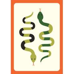 Campsite Games - Book - Paracay
