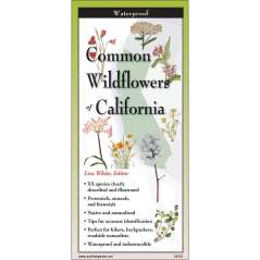Common Wildflowers Of California  - Book - Paracay