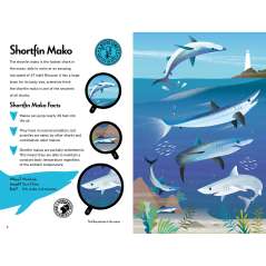Fantastic Fearsome Sharks (STEM Book + Model Kits) - Book - Paracay