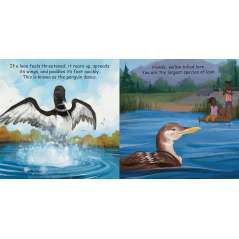 Good Night Loons - Book - Paracay