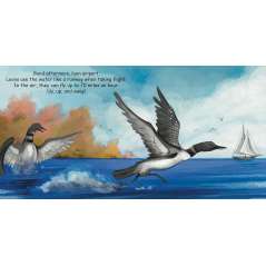 Good Night Loons - Book - Paracay