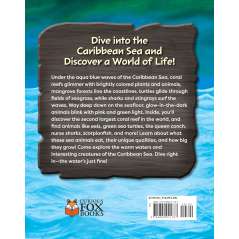 Incredible Creatures Of The Caribbean Sea - Book - Paracay