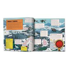 Marvelous Animal Homes: A Magic Lens Book - Book - Paracay