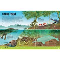 My First Oceans Atlas - Book - Paracay