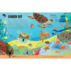 My First Oceans Atlas - Book - Paracay