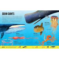 My First Oceans Atlas - Book - Paracay
