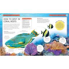 Ocean Creatures: A Spotter'S Guide - Book - Paracay