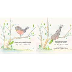 Papilio - Book - Paracay