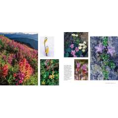 Salmon, Cedar, Rock & Rain: Washington's Olympic Peninsula - Book - Paracay
