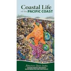The Coastal Life Of The Pacific Coast - Book - Paracay
