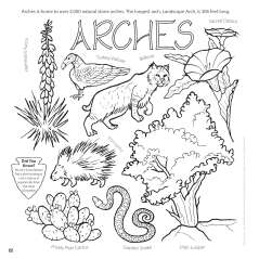 Ultimate National Parks Coloring Book - Book - Paracay