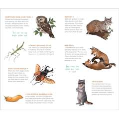 Wild, Wonderful Tattoo Woodland Animals: 60 Temporary Tattoos That Teach - Book - Paracay