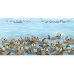Good Night Sea Otters - Board Book - Paracay