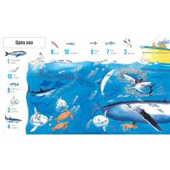 1001 Things To Spot In The Sea - Book - Paracay
