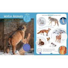 Backpack Explorer: Winter Walk - Book - Paracay