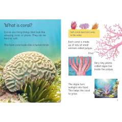 Coral Reefs - Book - Paracay