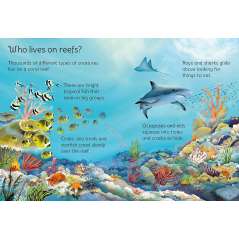 Coral Reefs - Book - Paracay
Coral Reefs - Book - Paracay