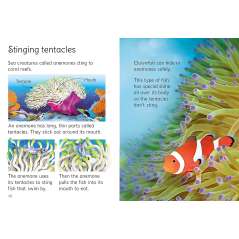 Coral Reefs - Book - Paracay