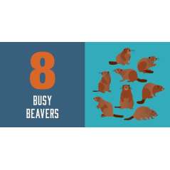 Count On Oregon: Baby’S First Book About The Beaver State - Book - Paracay