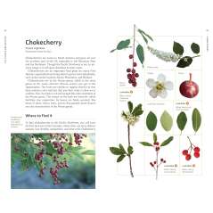 Edible Plants Of The Pacific Northwest - Book - Paracay