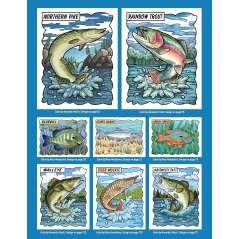Fantastic Game Fish Of North America - Book - Paracay