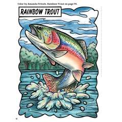 Fantastic Game Fish Of North America - Book - Paracay