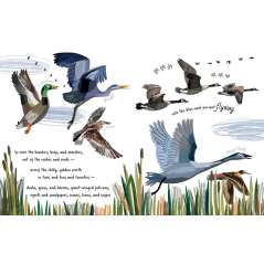 Follow The Flyway: The Marvel Of Bird Migration - Book - Paracay