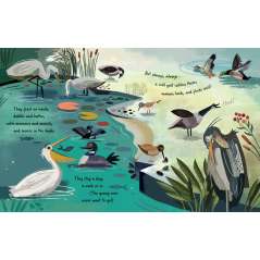 Follow The Flyway: The Marvel Of Bird Migration - Book - Paracay