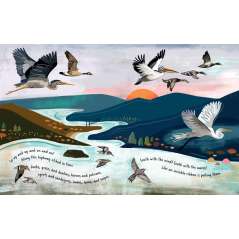 Follow The Flyway: The Marvel Of Bird Migration - Book - Paracay