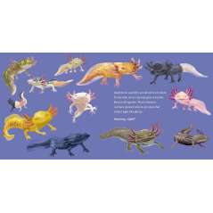 Meet The Wild Things: Hello, I'M An Axolotl - Book - Paracay