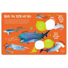 Magic Searchlight - Sharks - Book - Paracay