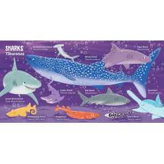 My First 100 Ocean Words in English and Spanish - Board Book - Paracay