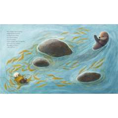 Odder: An Otter'S Story - Book - Paracay