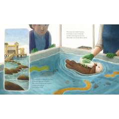 Odder: An Otter'S Story - Book - Paracay