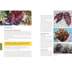 Pacific Harvest: A Northwest Coast Foraging Guide - Book - Paracay