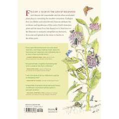 The Milkweed Lands - Book - Paracay