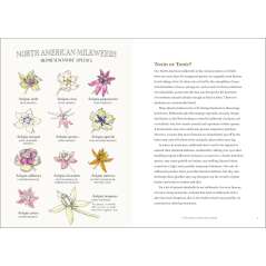 The Milkweed Lands - Book - Paracay