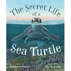 The Secret Life Of A Sea Turtle - Book - Paracay