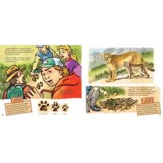 Who Pooped In The Park? Yosemite National Park - Book - Paracay