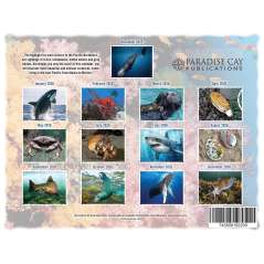 Marine Wildlife of the Pacific Northwest - 2026 - Calendar - Paracay