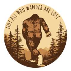 Not All Who Wander Are Lost - Vinyl Sticker (1 STICKER) - Paracay