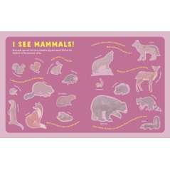 Backpack Explorer Stickers: Nature Adventure - Book - Paracay