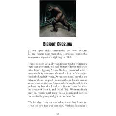 Bigfoot Campfire Tales - Book - Paracay