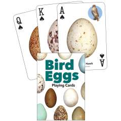 Bird Eggs Playing Cards - Book - Paracay