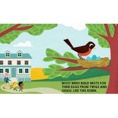 Birdblock - Book - Paracay