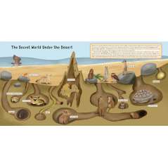 Discovering The Amazing World Of The Desert - Book - Paracay